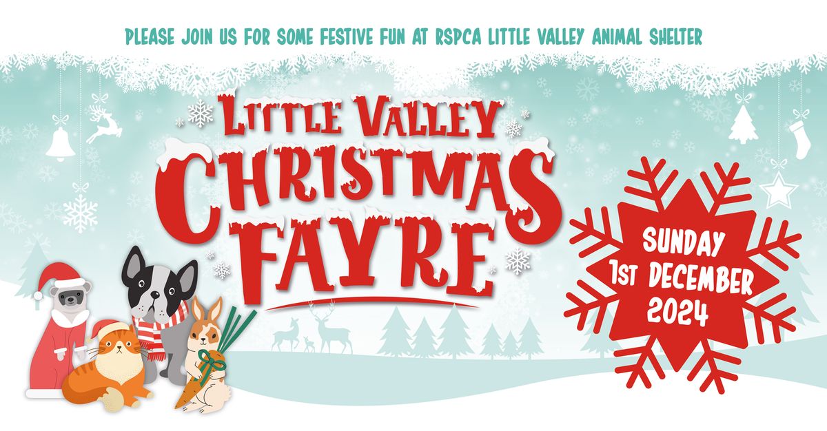 Little Valley Christmas Fayre 2024