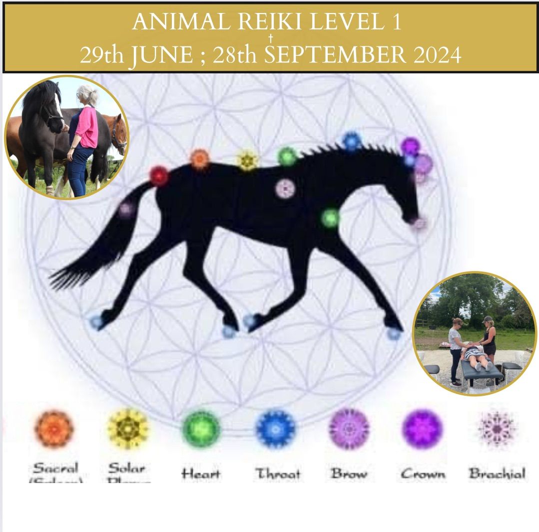Animal Reiki Level 1 - 29th June; 28th Sept