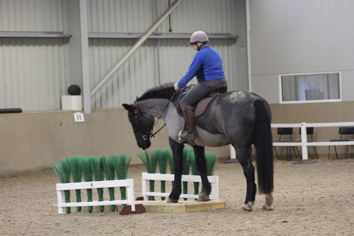 The Ridden Obstacle Clinic w\/ Rosca Horsemanship at Derby College Equestrian Centre  (Fully Booked)