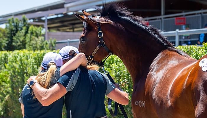 Magic Millions Perth Yearling Sale