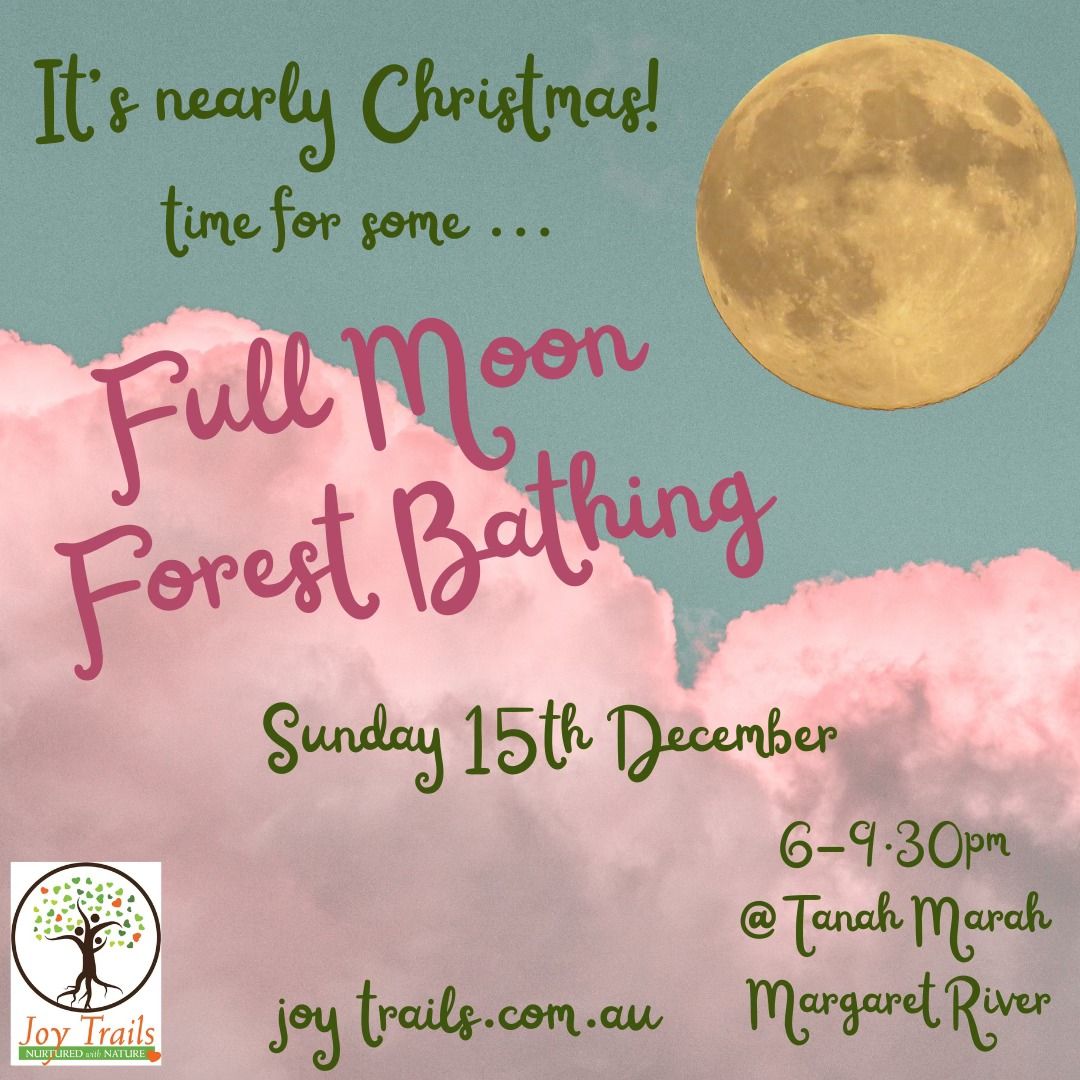 Full Moon Forest Bathing