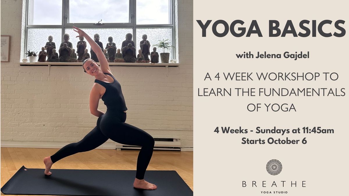 Yoga Basics | 4 Week Intro To Yoga for Beginners