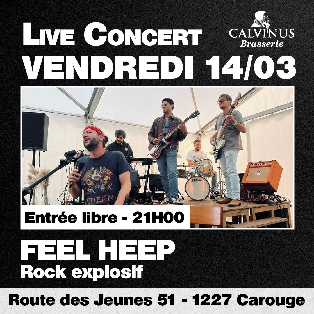 FEEL HEEP en live concert - Brasserie Calvinus