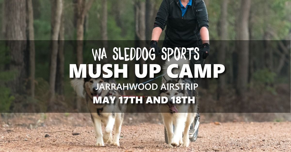 WASSA Mush Up Camp