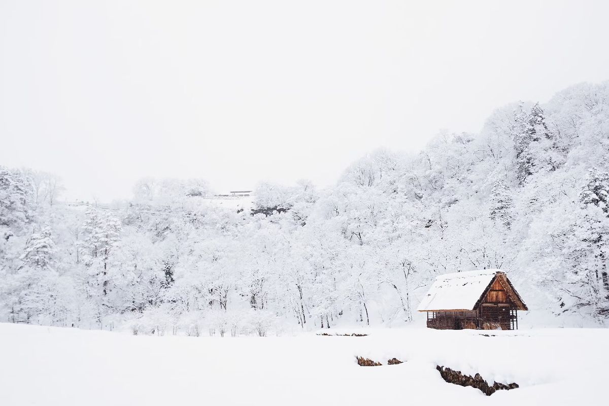 Cabin Fever Hike