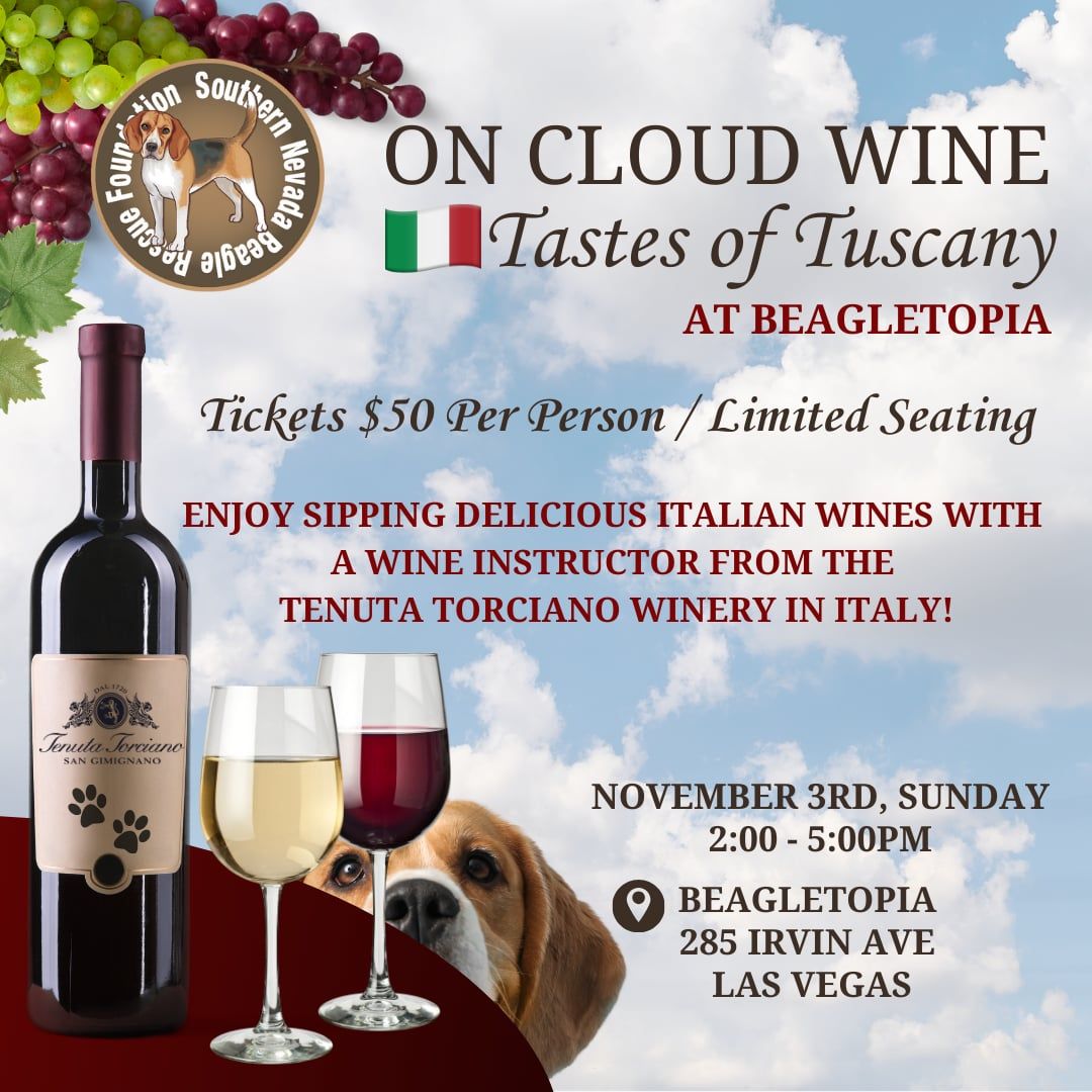 On Cloud Wine; Tastes of Tuscany