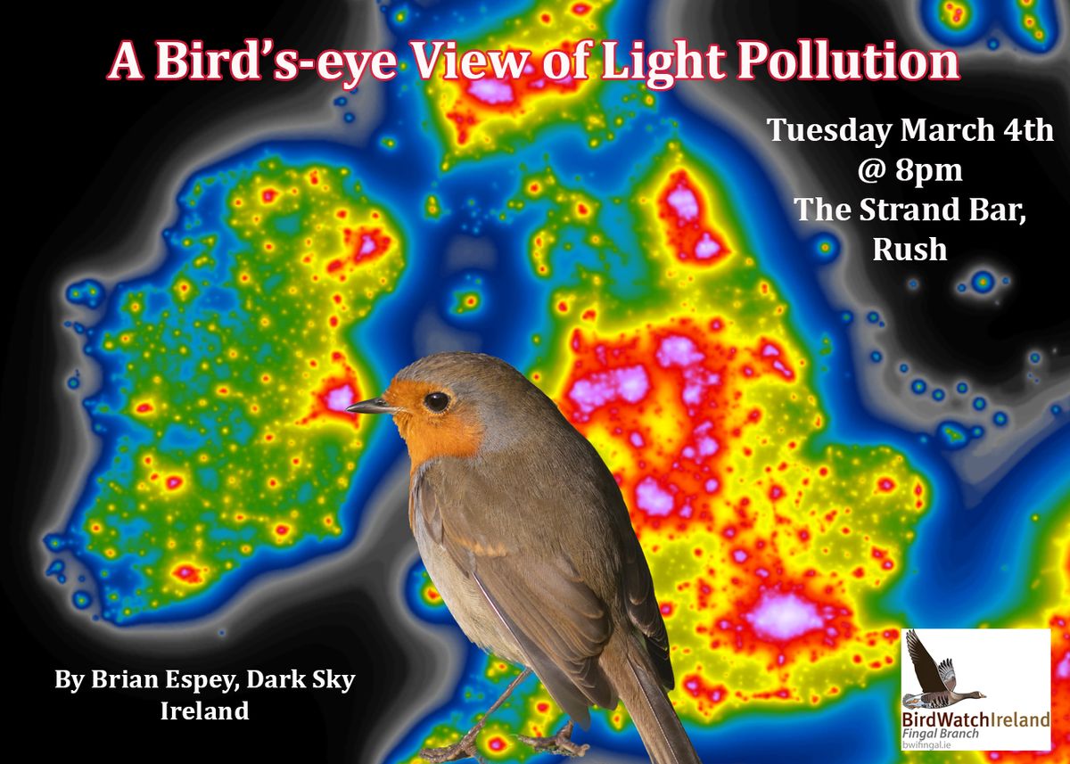 Bird's Eye View of Light Pollution with Professor Brian Espey