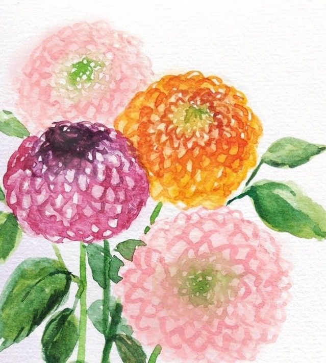 Watercolor Florals; Dahlias, Cosmos and Ranunculus