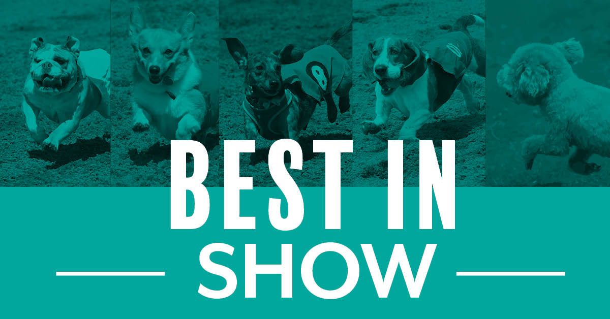 Best in Show 