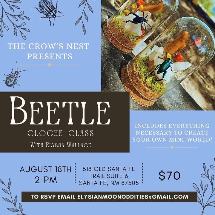 Beetle Cloche Class