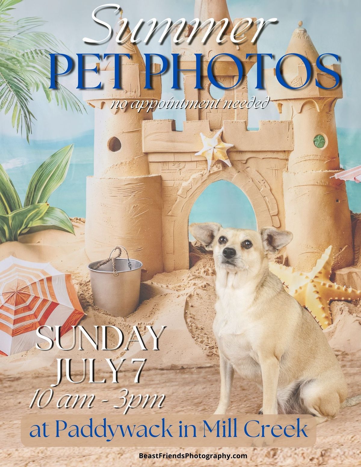 Summer Pet Photos with Beast Friends Photography
