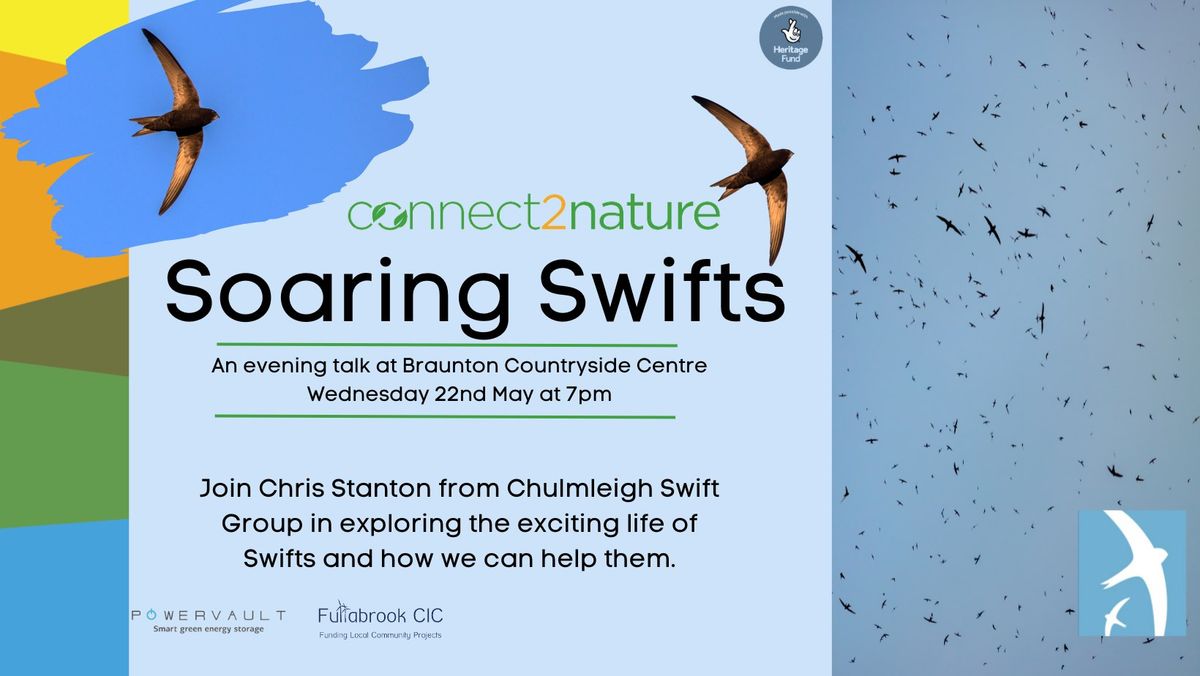 Soaring Swifts - An evening talk 
