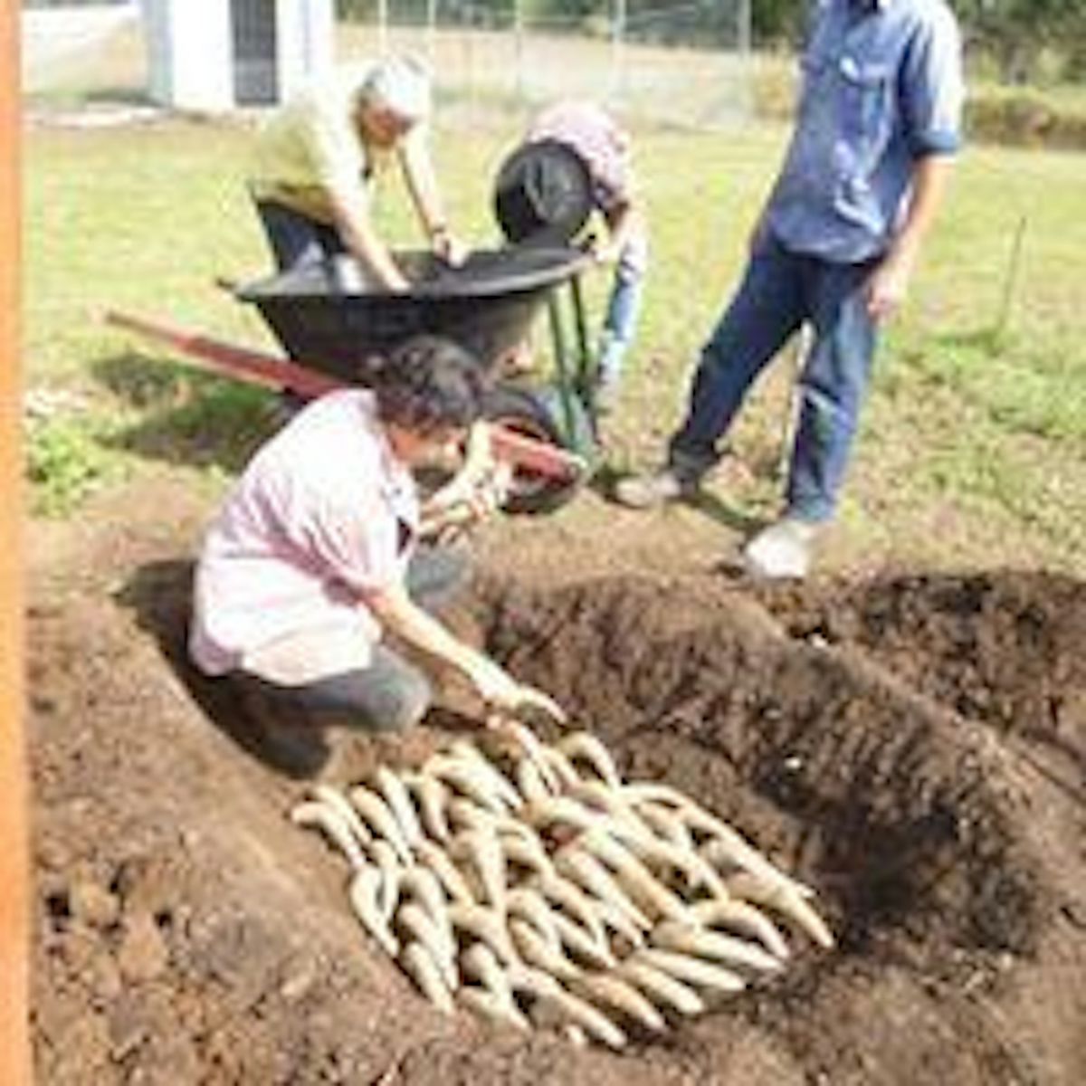 Practical Biodynamic Weekend