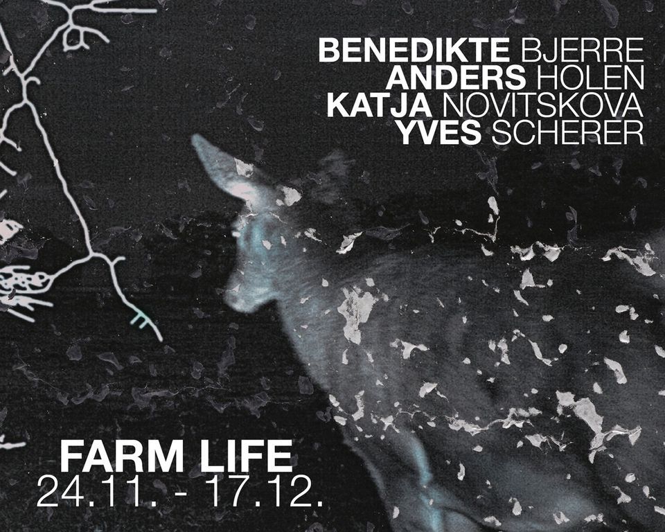 OPENING - FARM LIFE: Benedikte Bjerre, Anders Holen, Katja Novitskova, Yves Scherer