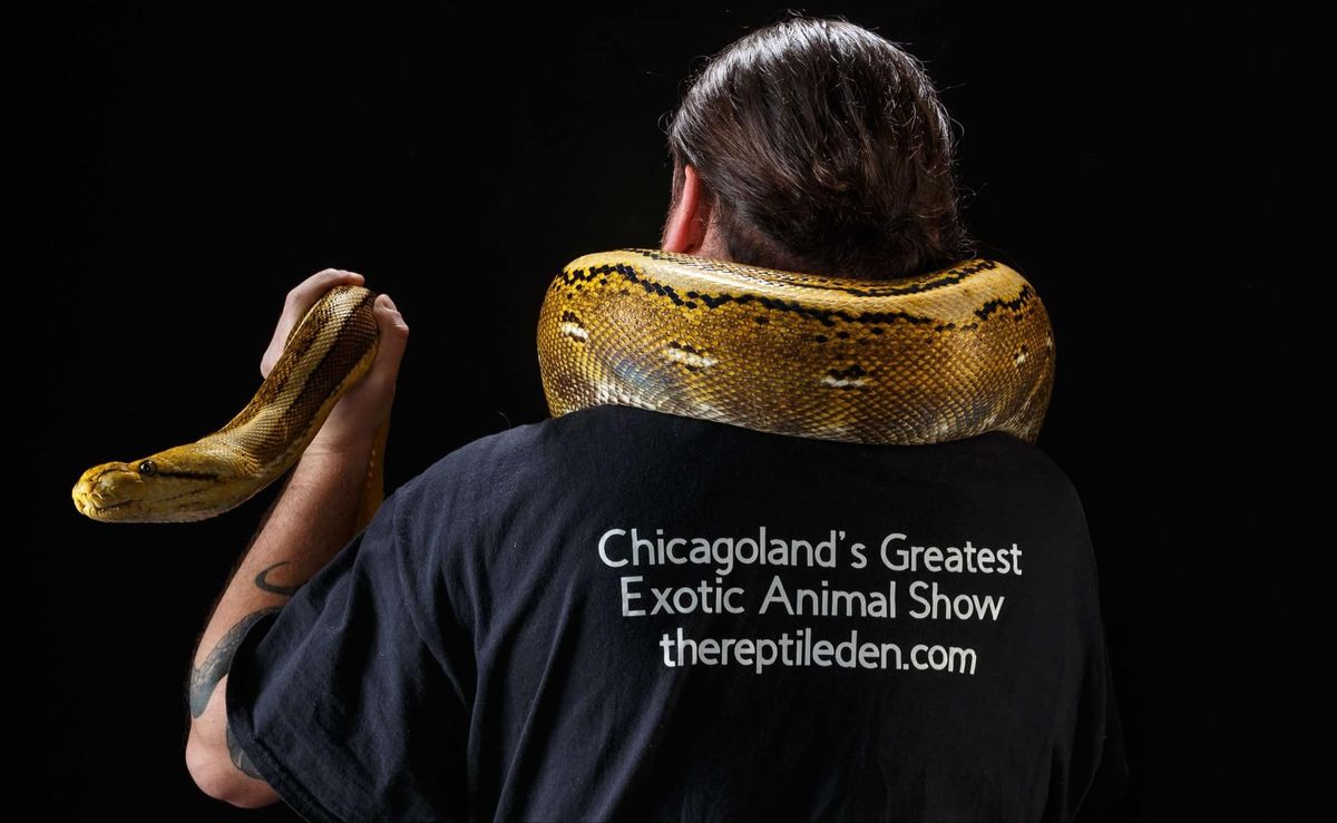 Ali Baghdadi Presents, The Reptile Den  Chicagolands Greatest Interactive Exotic Animal Show 