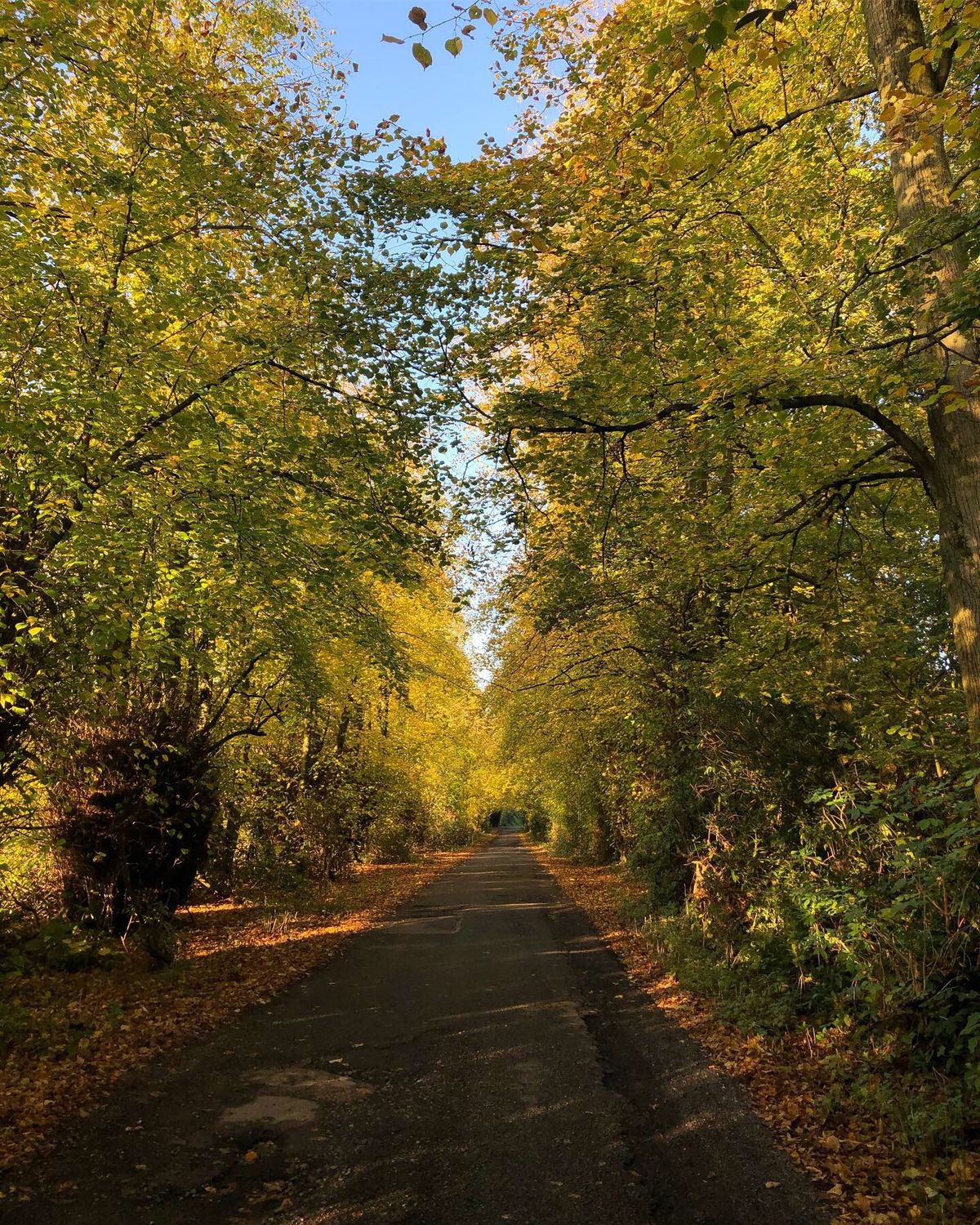 Foraging at Bank Hall