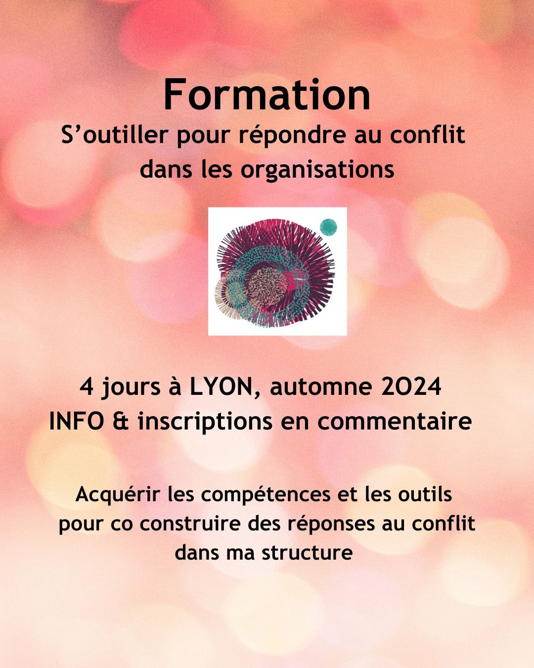 FORMATION : S'outiller pour co construire une r\u00e9ponse au conflit dans son organisation