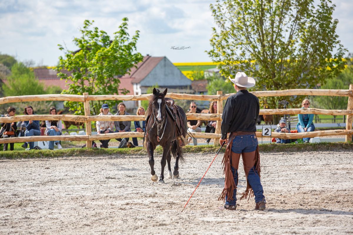 Partnerschaft st\u00e4rker wie Seile- Liberty und bridless riding