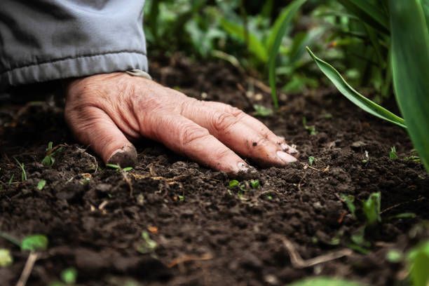 Calhoun County Master Gardener Association Meetings