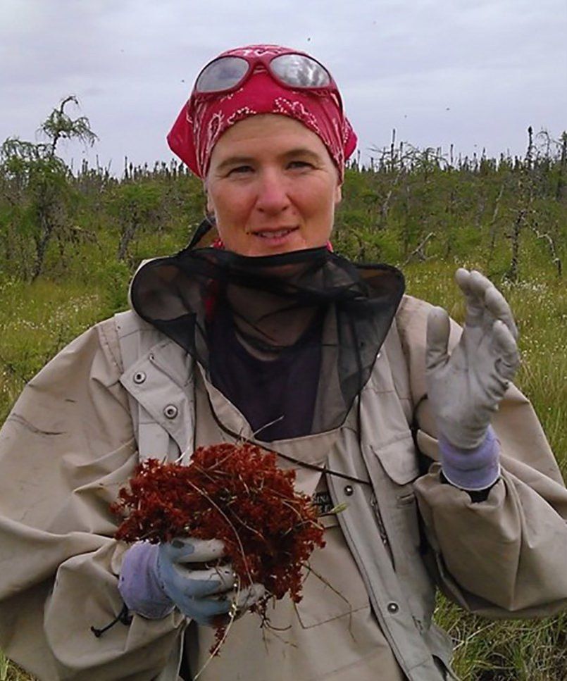 SPEAKER EVENT:  Mosses and other bryophytes