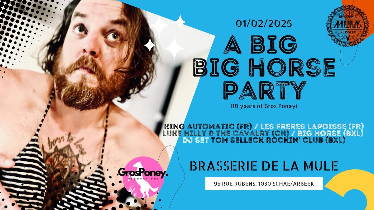 A Big Big Horse Party ! 10 Years of Gros Poney