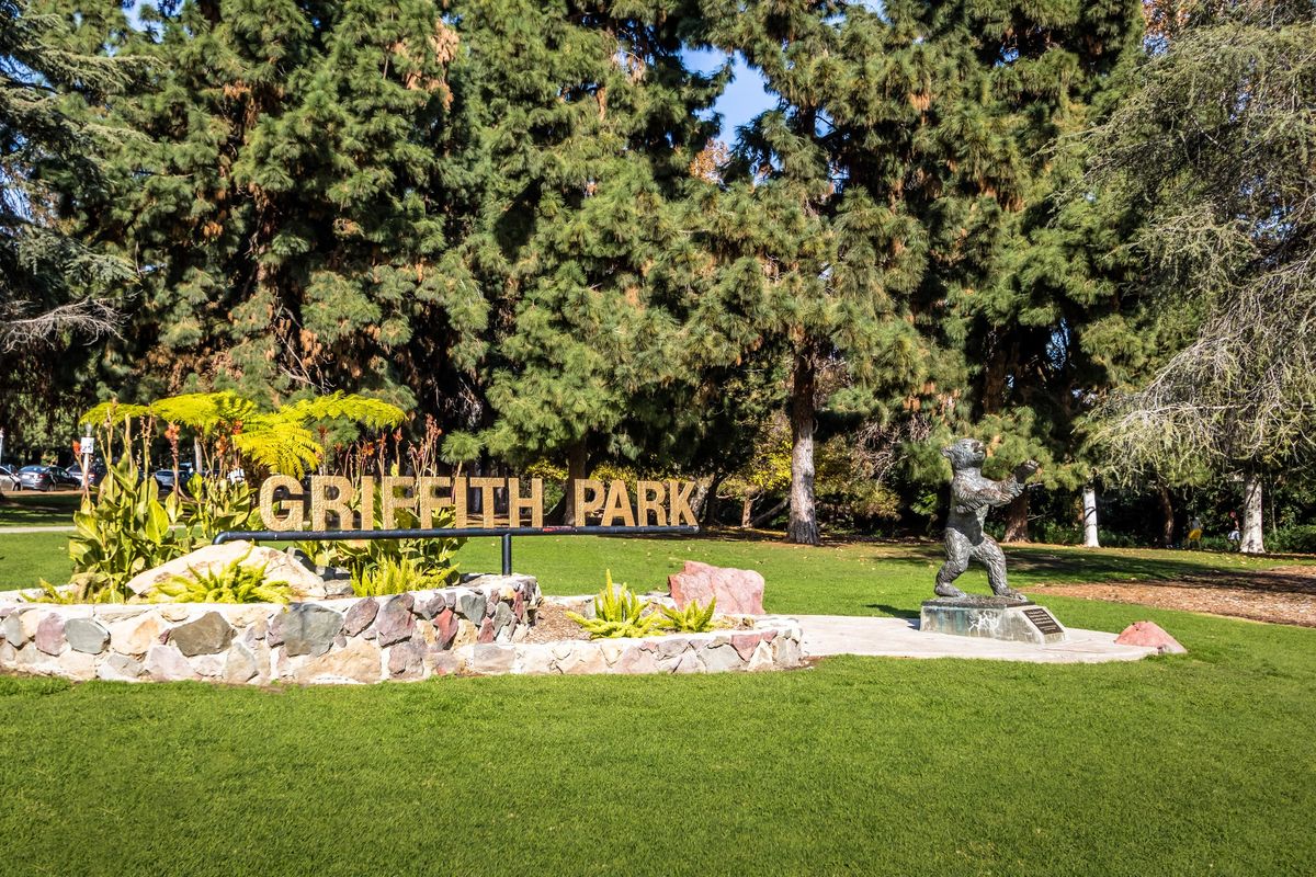 NYU Alumni Club in Los Angeles: Griffith Park Hike