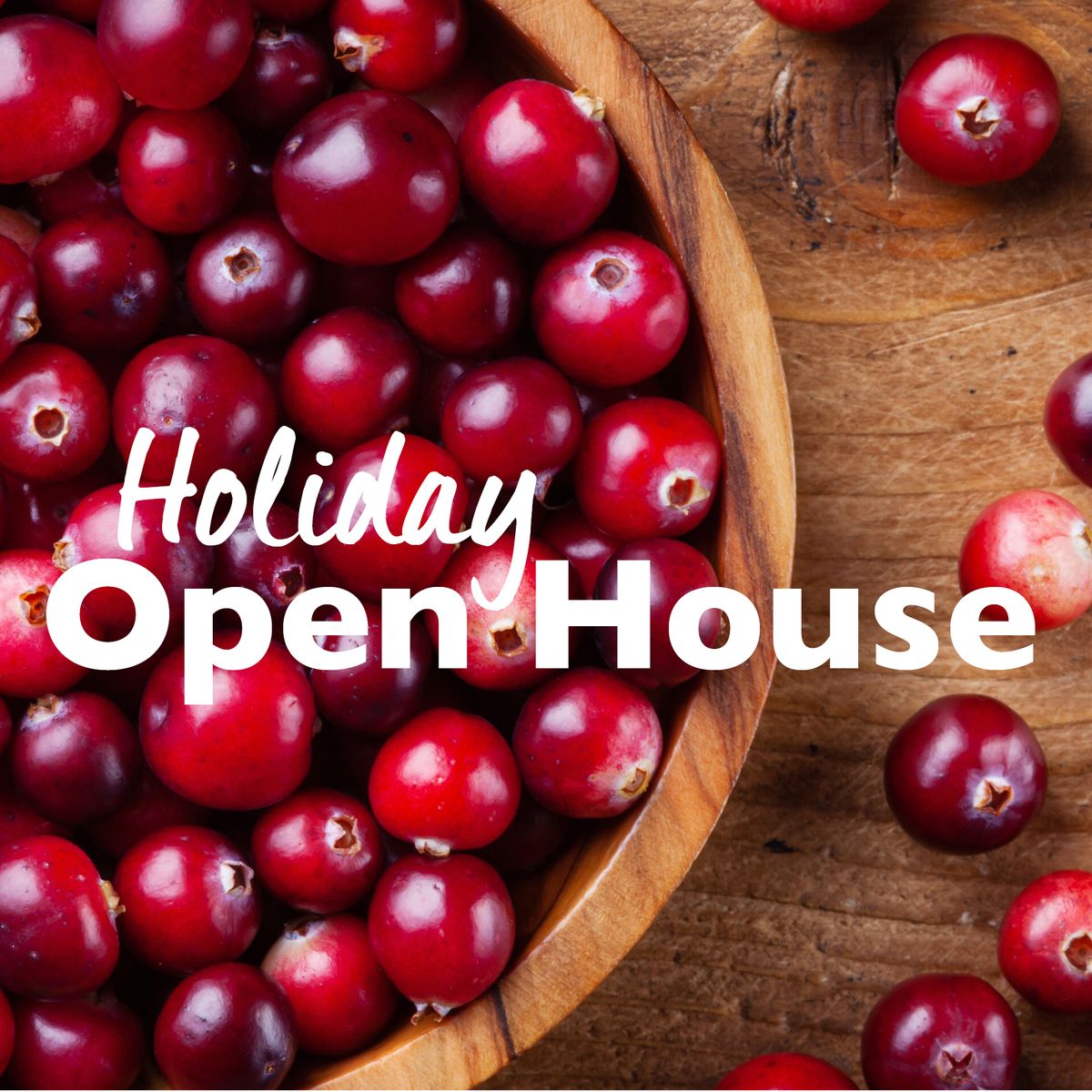 Holiday Open House