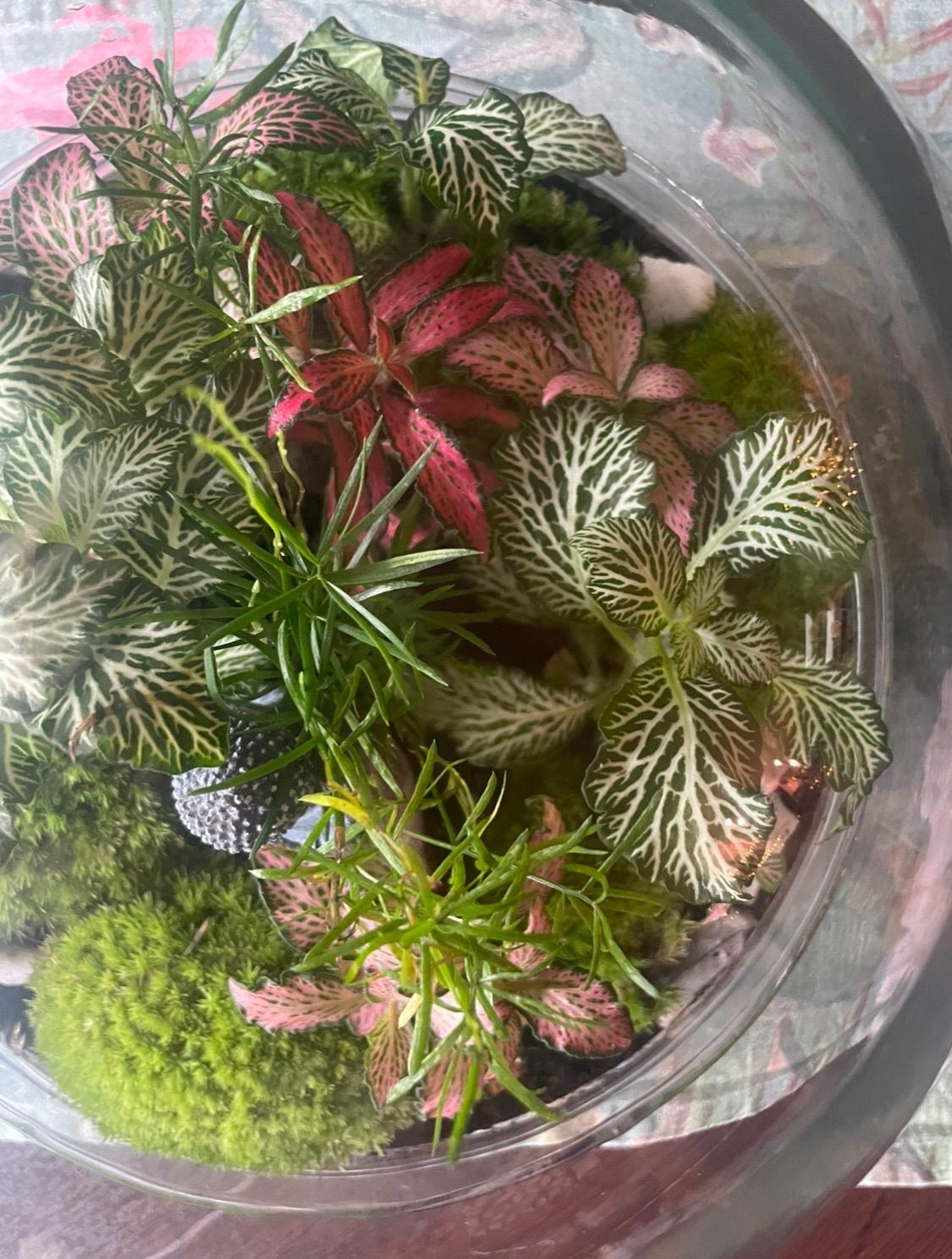 BYO Terrarium Workshop