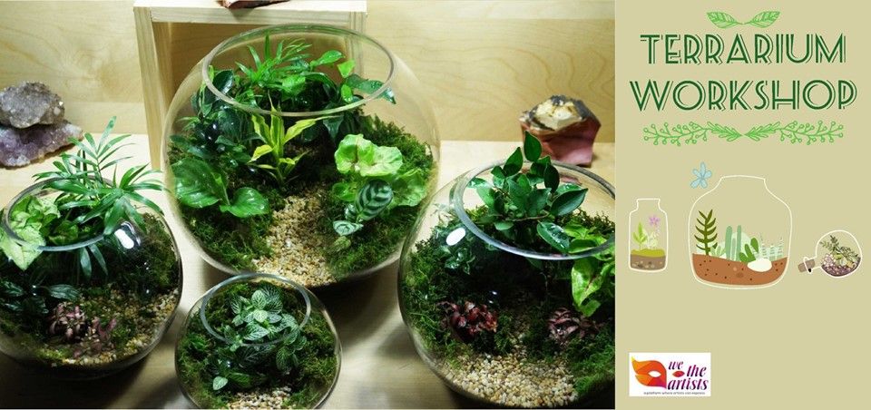 TERRARIUM WORKSHOP