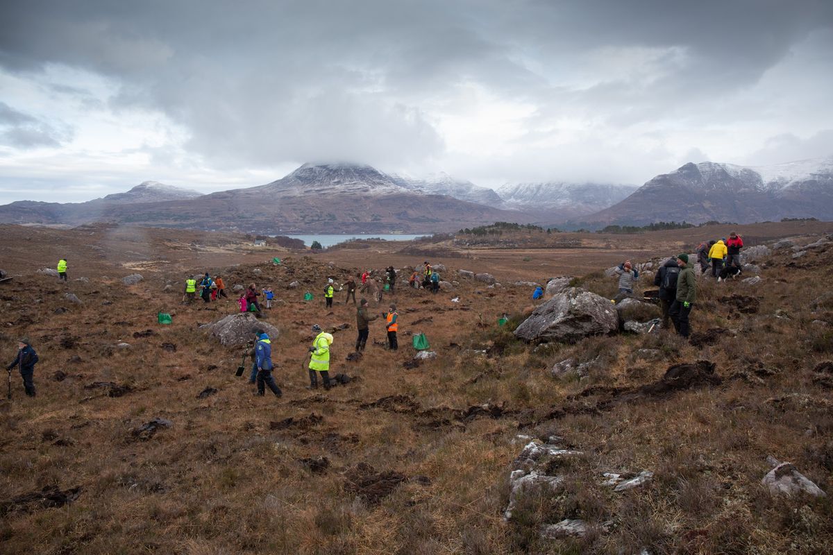 Community Tree Planting Day