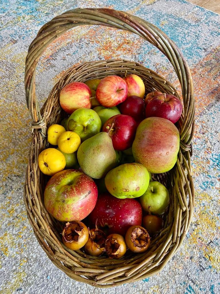 Apple Day - Broadford Hall