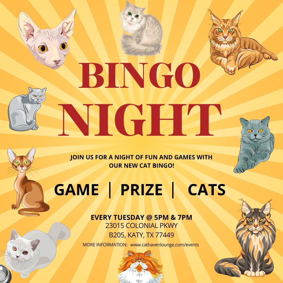 Cat Bingo Night