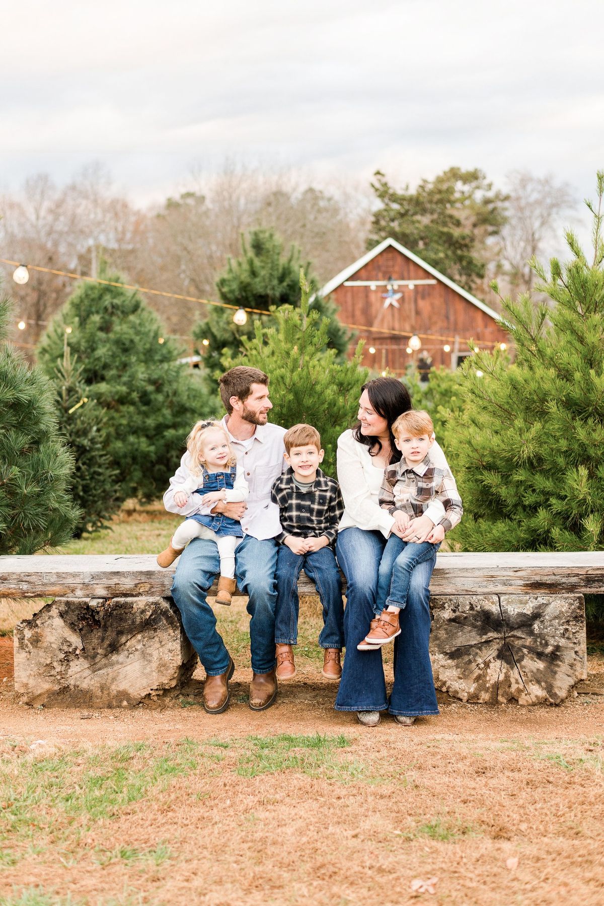 Christmas Tree Mini Sessions