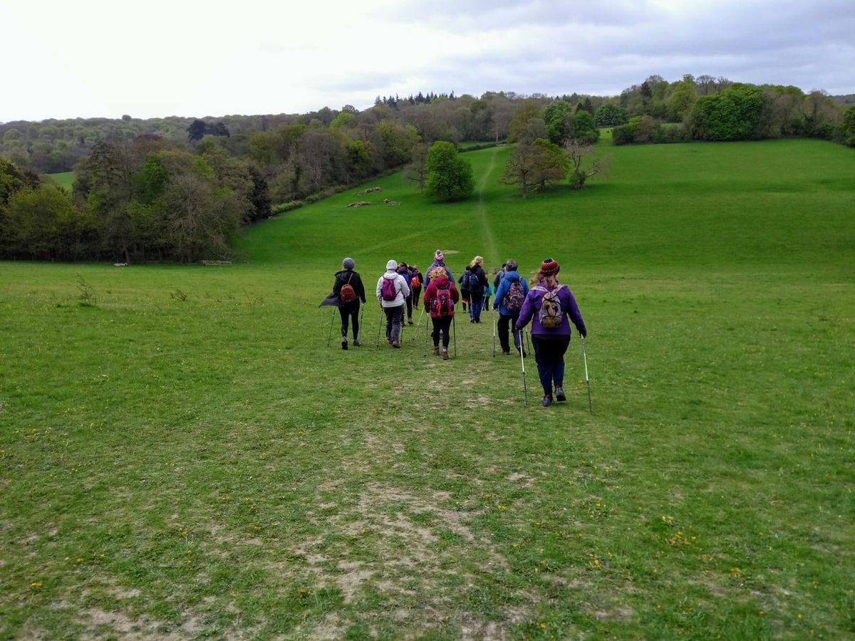 FREE Taster Session, or one-day intensive Nordic Walking training course: