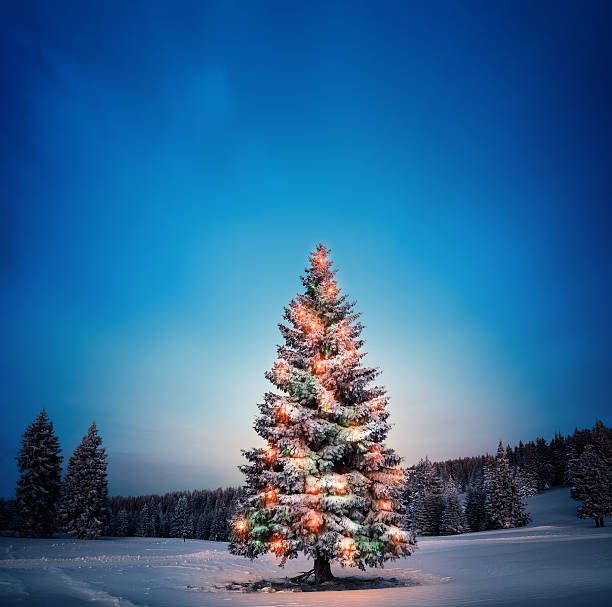 Holiday Tree Lighting on the Green