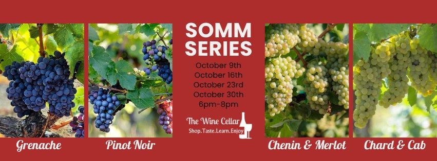 Wednesday Somm Series with Sharon Haughton