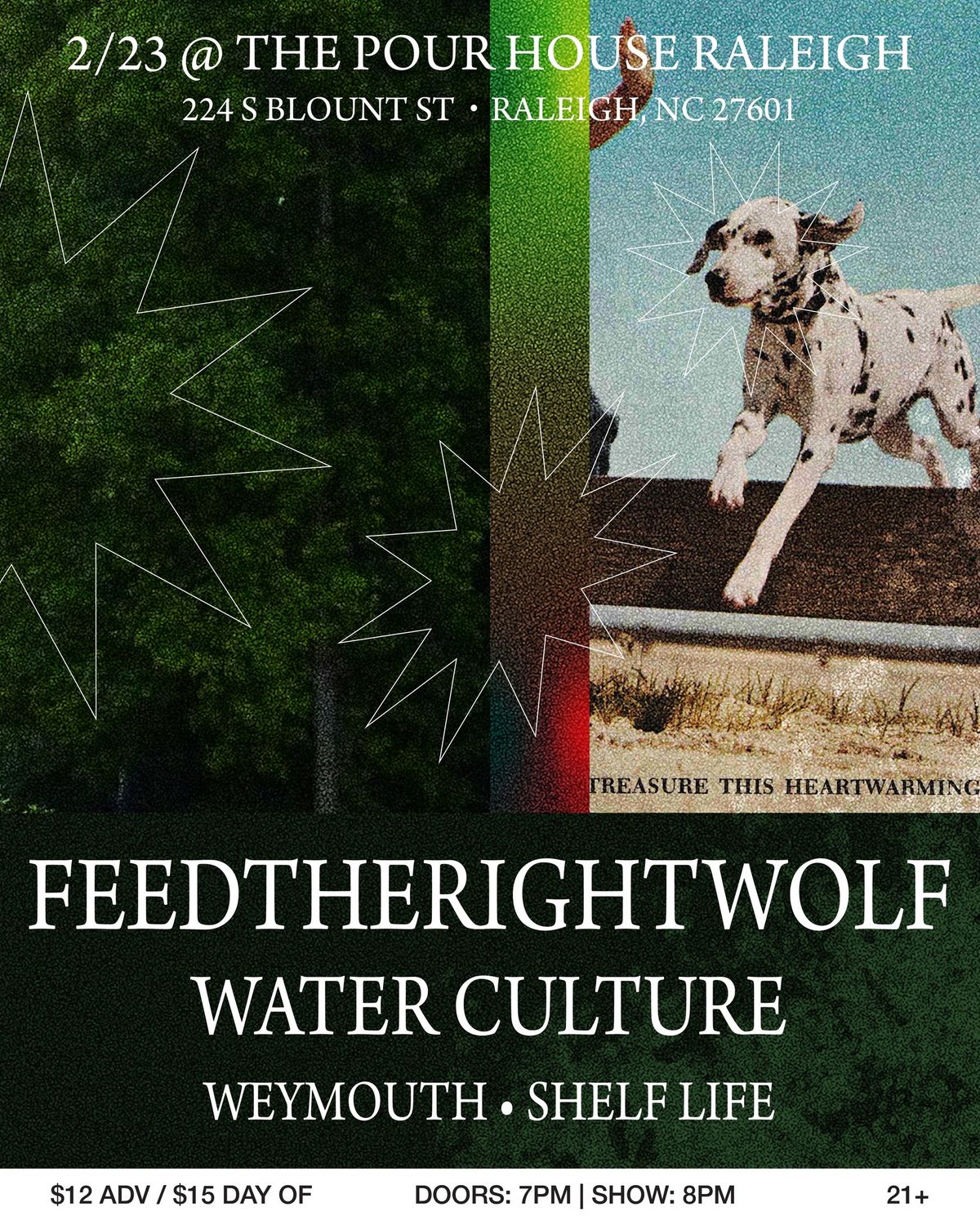 Water Culture with feedtherightwolf, Weymouth