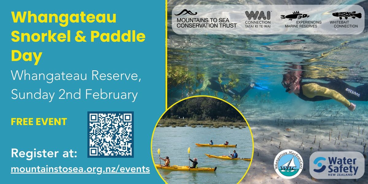 Whangateau Harbour Community Snorkel & Paddle Day 