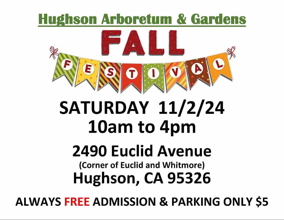 3rd Annual Fall Festival