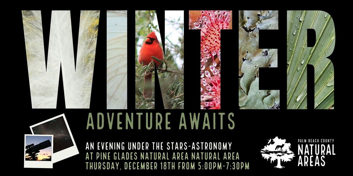 Adventure Awaits - An Evening Under the Stars - Astronomy
