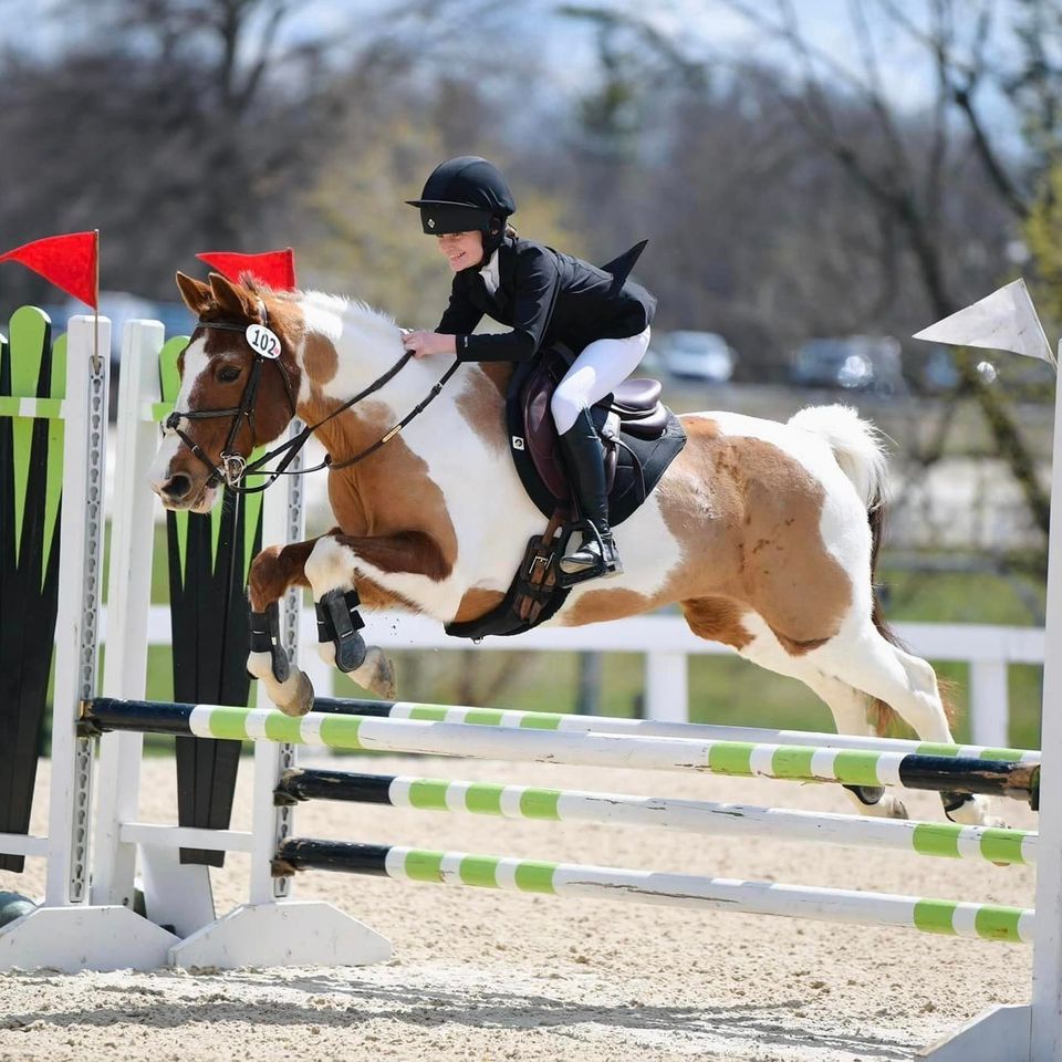 Paul Frazer Combined Test and Dressage Show