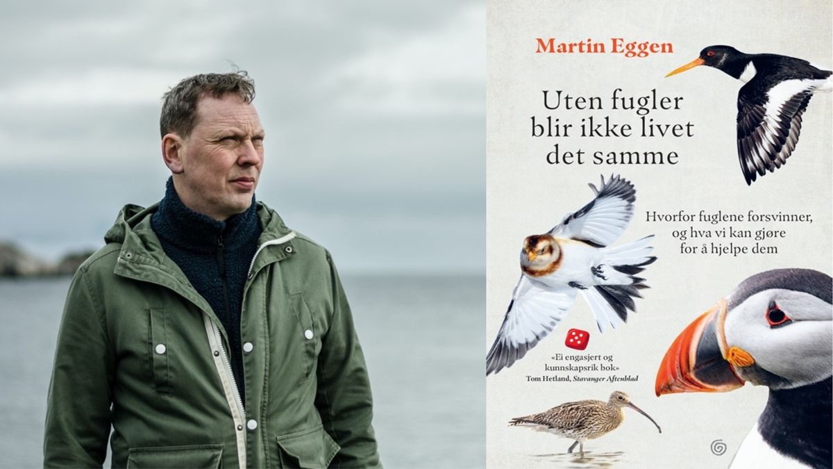 Uten fugler blir ikke livet det samme | Foredrag med Martin Eggen