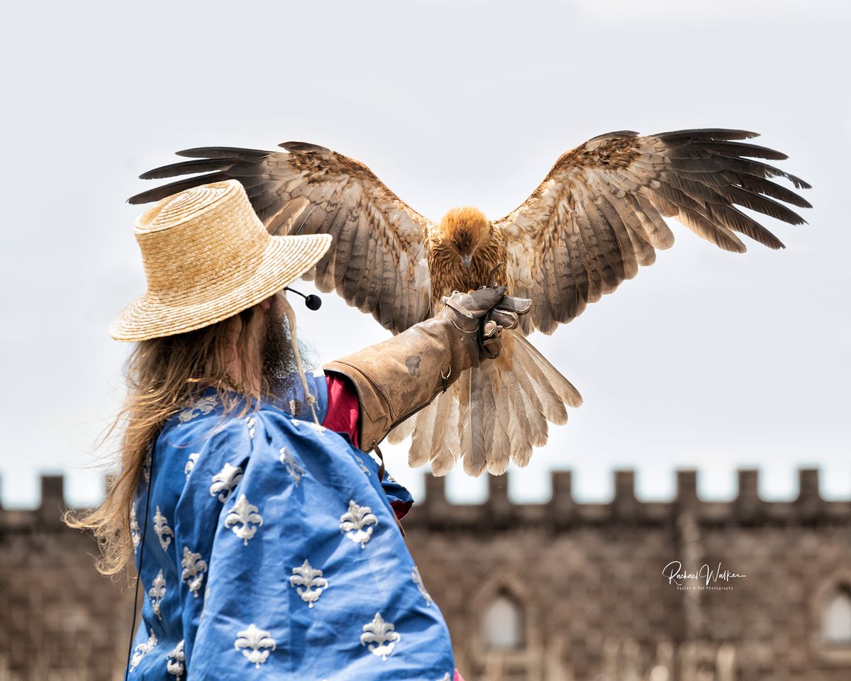 Victorian Medieval Festival