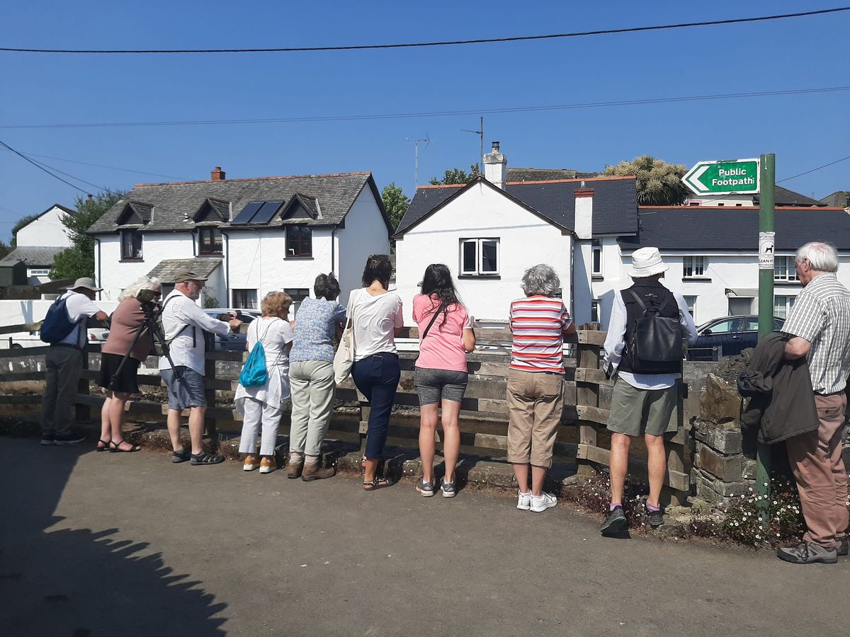 Fortnightly Wellbeing Walks in partnership with Braunton Countryside Centre