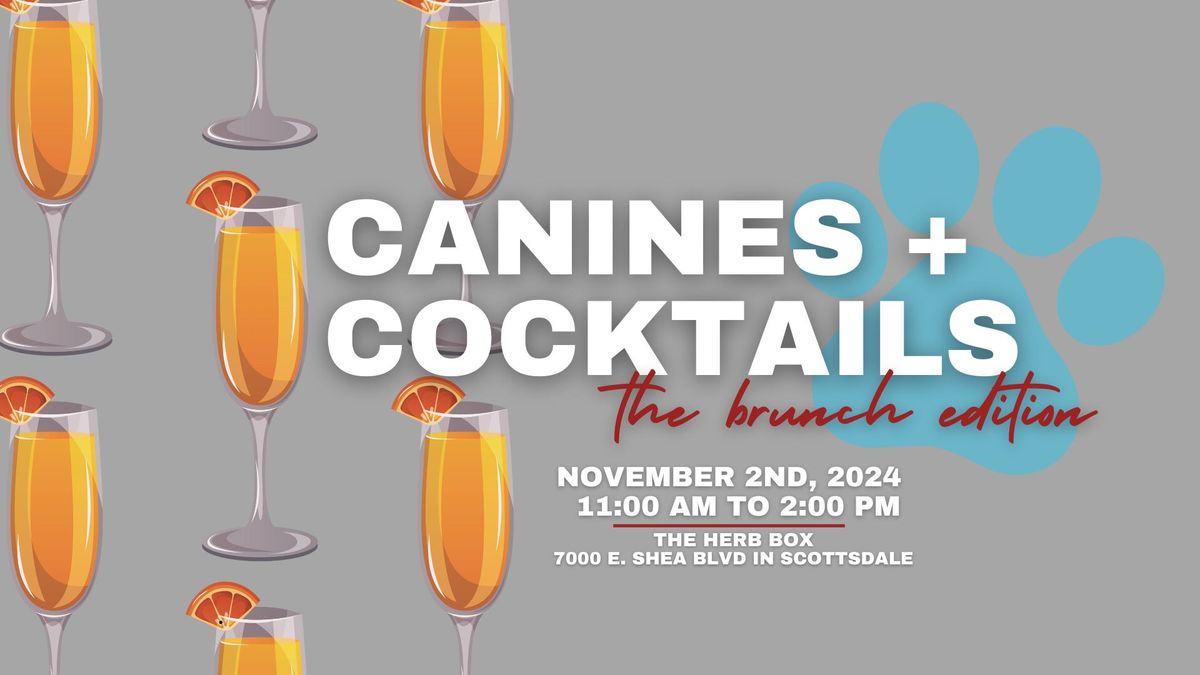 Canines + Cocktails: the brunch edition