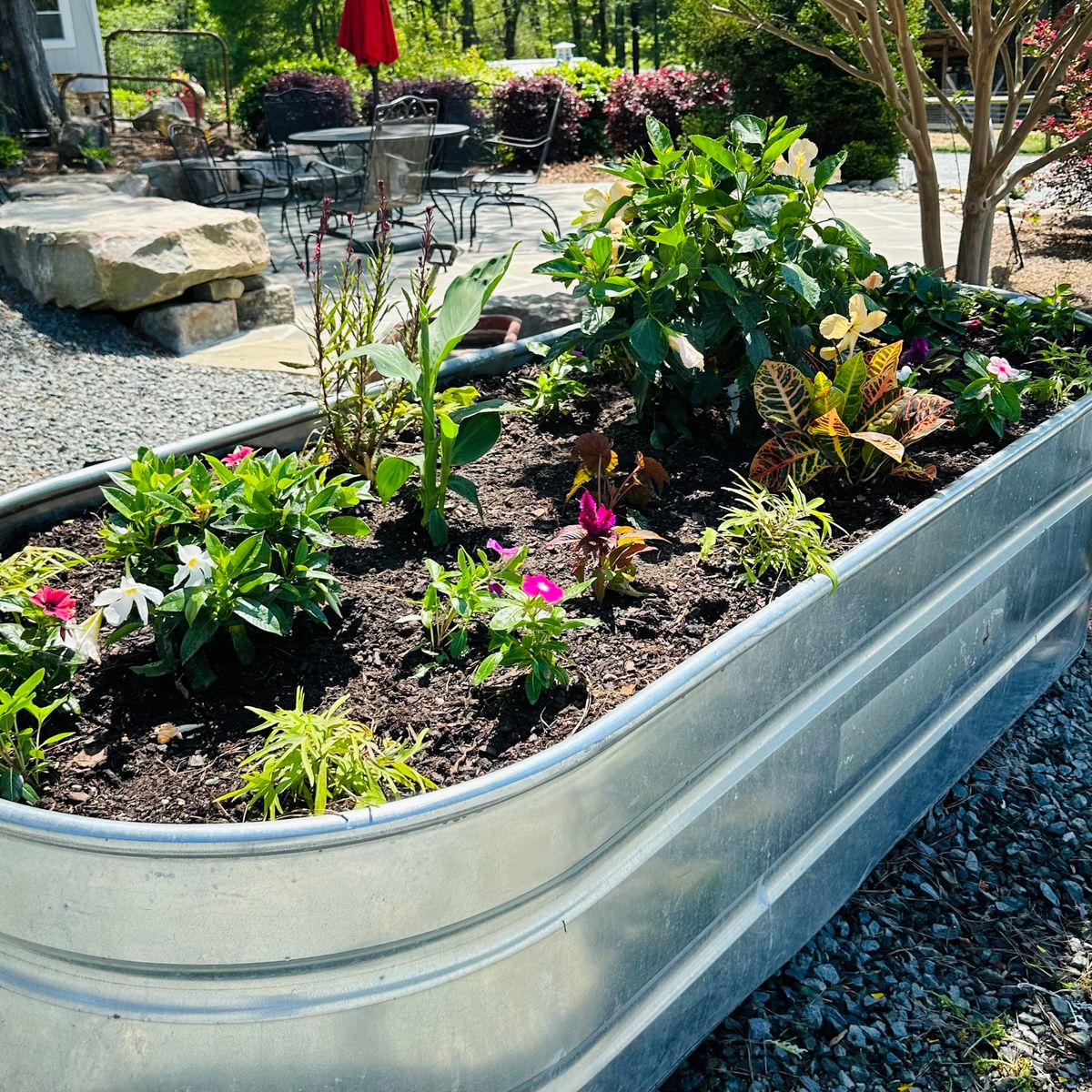 Raised Bed Gardening 