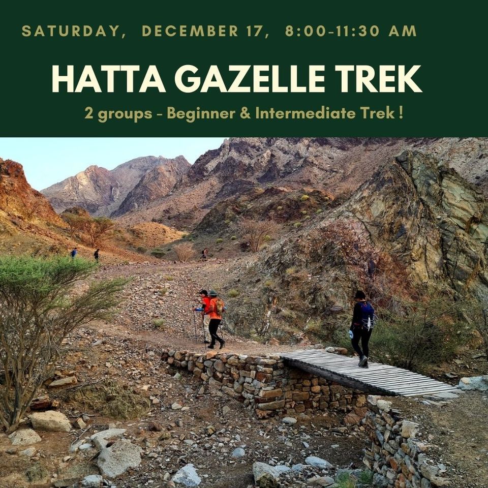 Hatta's Gazelle Trail & Hills & Peaks