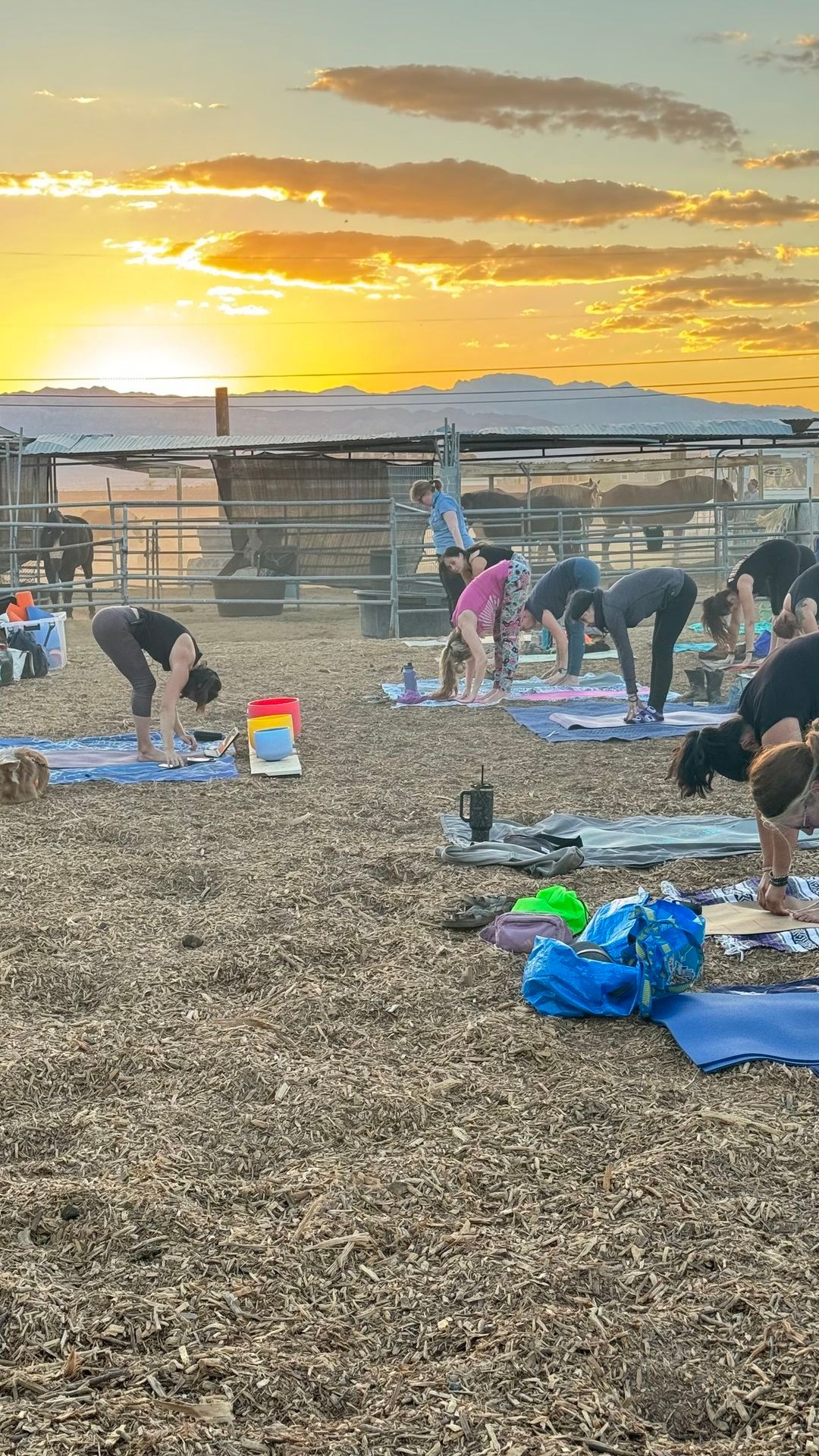 Renewal at the Ranch: Yoga, Stillness, and Sound 