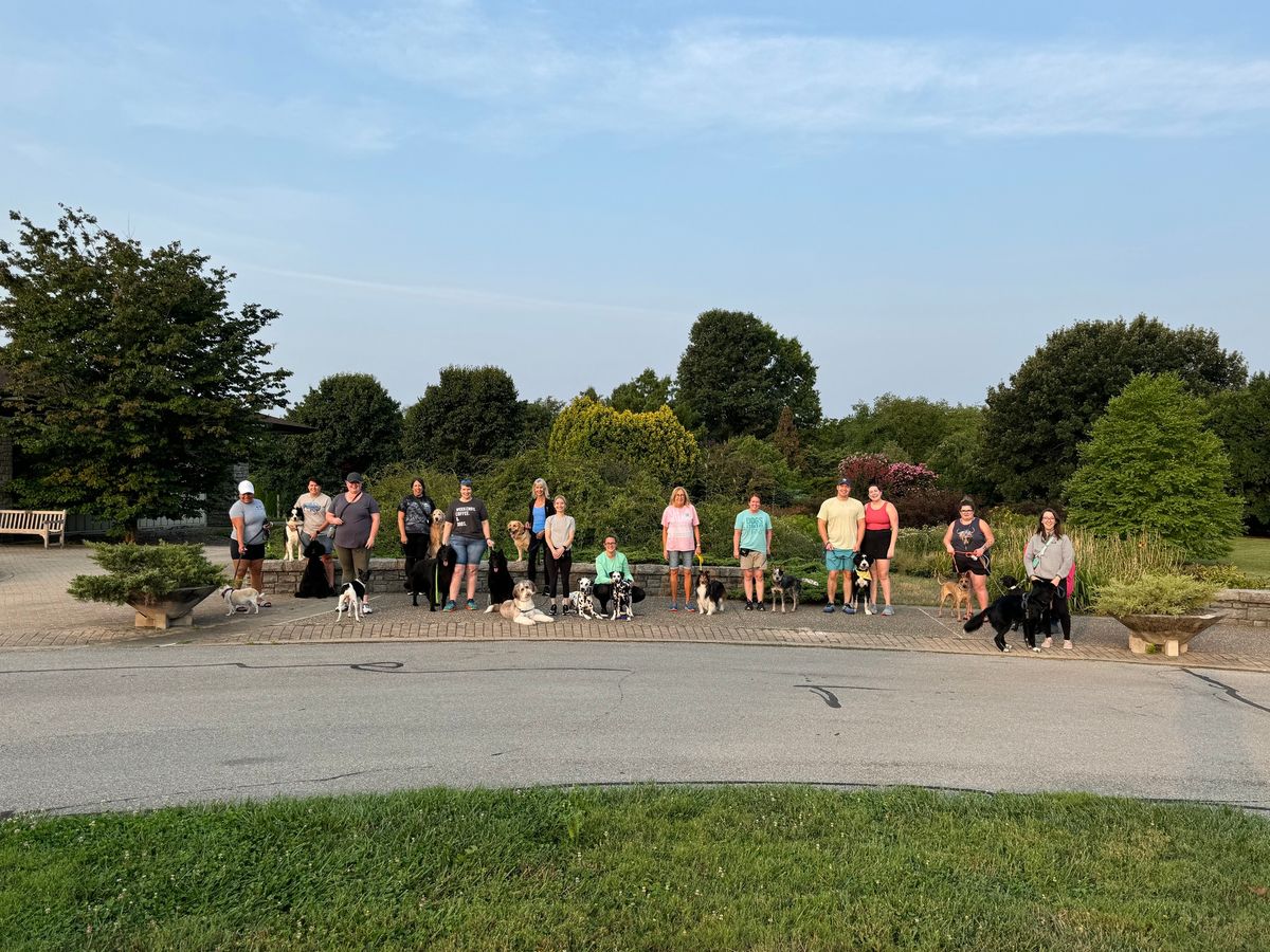 BDTA Fit Dog Walk