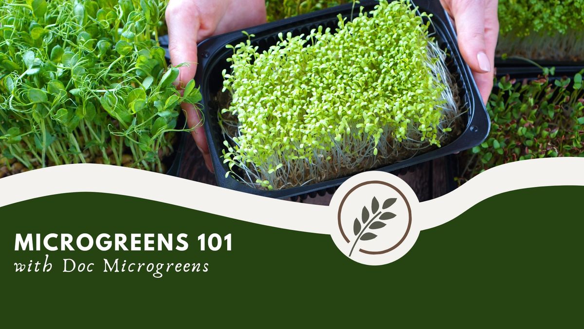 Microgreens Workshop with Farm Doc